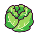 lechuga icon