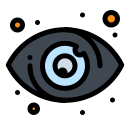 ojo icon