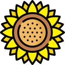 girasol