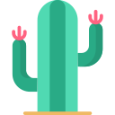 cactus icon