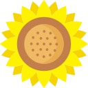 girasol icon