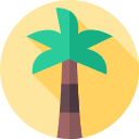 palmera 