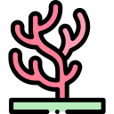 coral icon