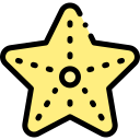 estrella de mar icon