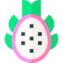 fruta do dragão 