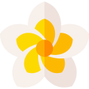 Frangipani 