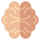 cerebro icon