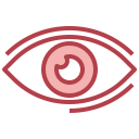 ojo icon