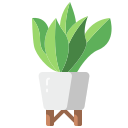 Plant pot 
