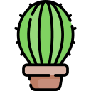 cactus icon