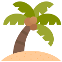 코코넛 나무 