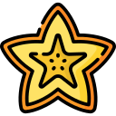 carambola icon