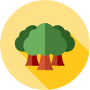 bosque icon