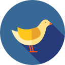 pájaro icon