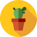 cactus icon