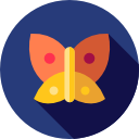 mariposa icon