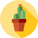 cactus icon