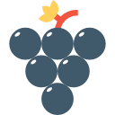 uvas icon