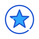 estrella icon