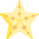 estrella de mar 