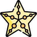 estrella de mar