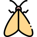 polilla icon