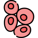 las células rojas de la sangre 