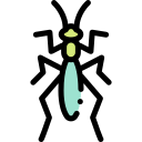 mantis icon