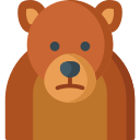 oso grizzly 