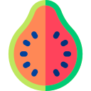 guayaba icon