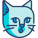 gato icon