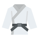 judo