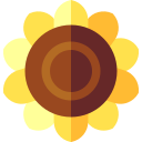 girasol icon