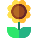 girasol icon