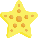 estrella de mar 