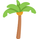 palmera