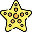 estrella de mar icon