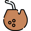 bebida de coco icon