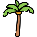 palmera