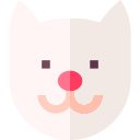 gato icon