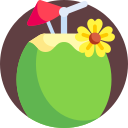 bebida de coco icon