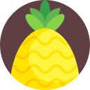 piña icon