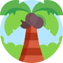 Árbol de coco icon