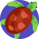 tortuga icon