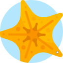 estrella de mar icon