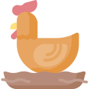 pollo 