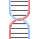estructura de adn icon