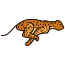 leopardo 