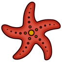 estrella de mar icon