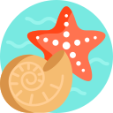 estrella de mar icon